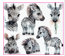 Baby Zebra Full Color Skinny Tumbler Wrap