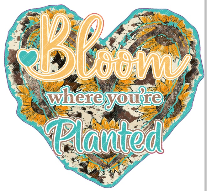 Bloom where you're planted Full Color HTV Transfer
