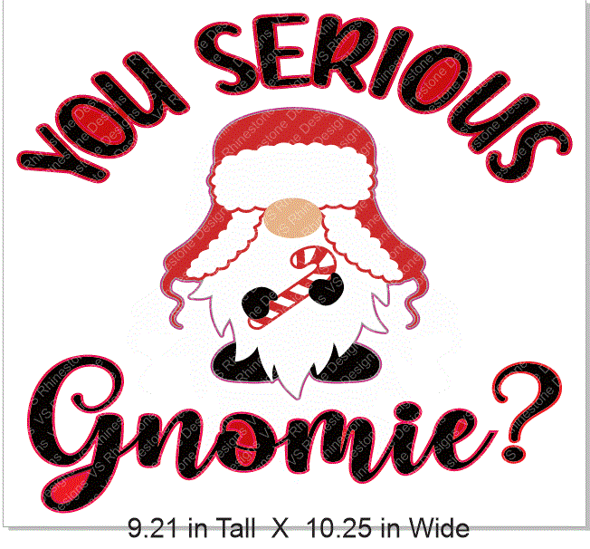 Are You Serious Gnomie HTV